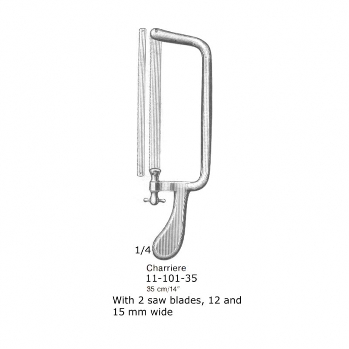 congue non eget libero